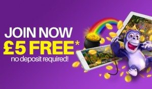 free bets bonus