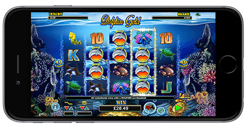 Dolphin Gold Slot