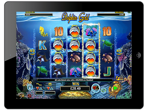 Dolphin Gold Big Top Bonuses and Games