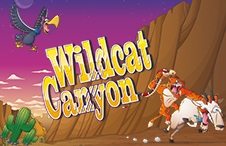 Wild Cat Canyon Slot