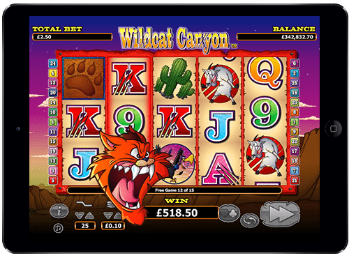 Wild Cat Canyon Slot Pay By Phone Bill