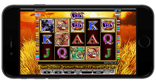cats slot