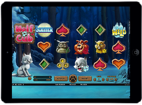 Online Slots Game