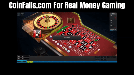 About Live Casinos