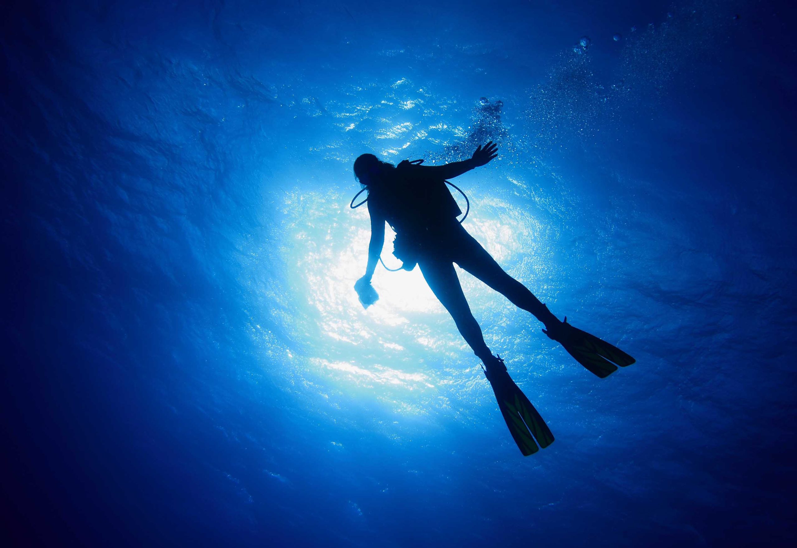 Deep Sea Diver Review