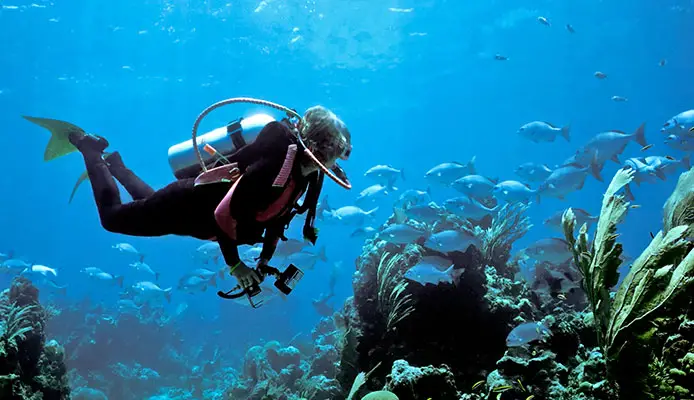 Deep Sea Diver Review