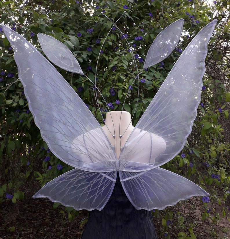 Pixie Wings