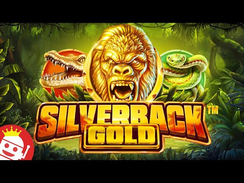 Bgo Casino