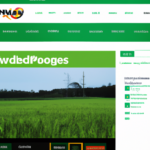 Paddy Power Desktop Site |